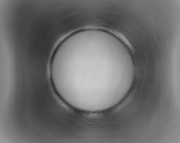 X0000113870839200909241004