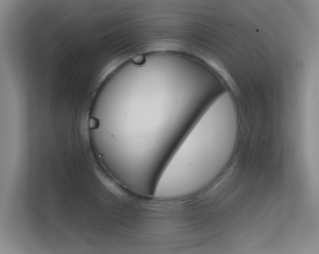 X0000113870842200909241004