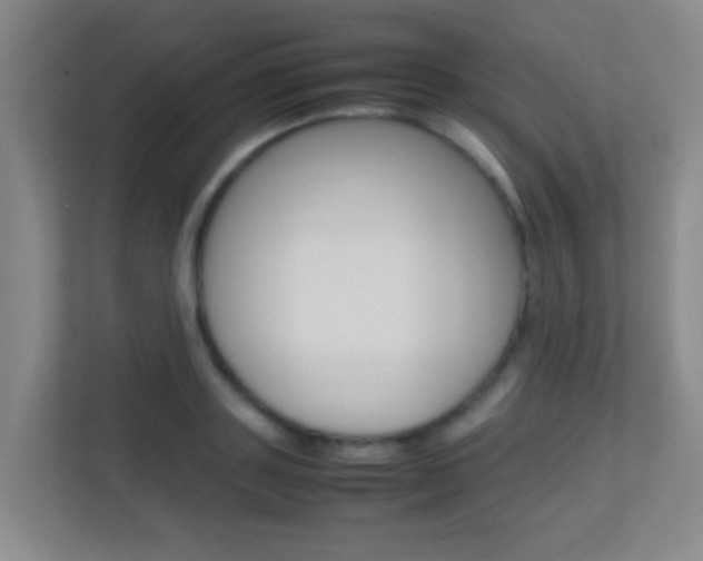 X0000113870843200909241004
