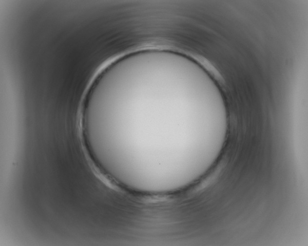 X0000113870846200909241005