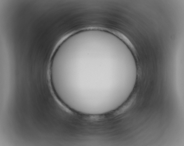 X0000113870847200909241005
