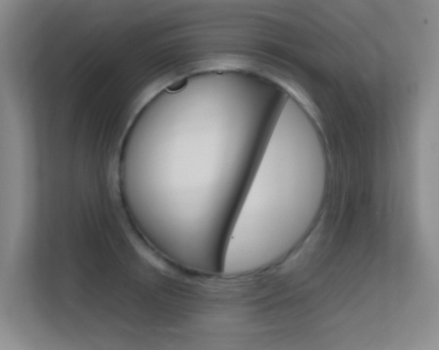 X0000113870850200909241005