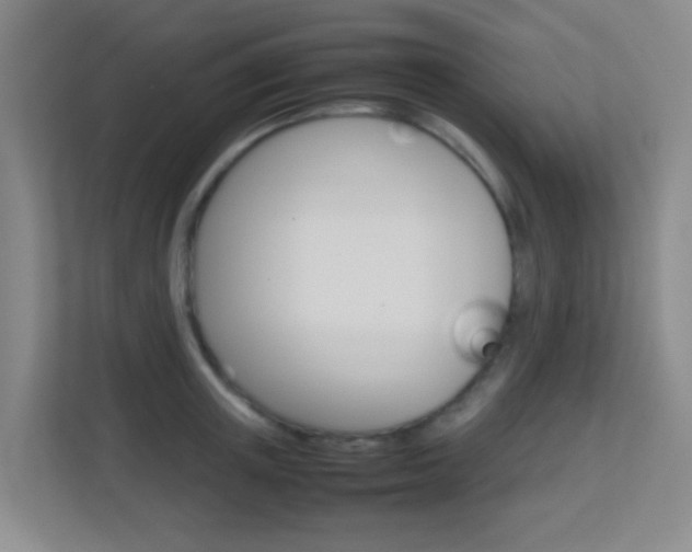 X0000113870851200909241005