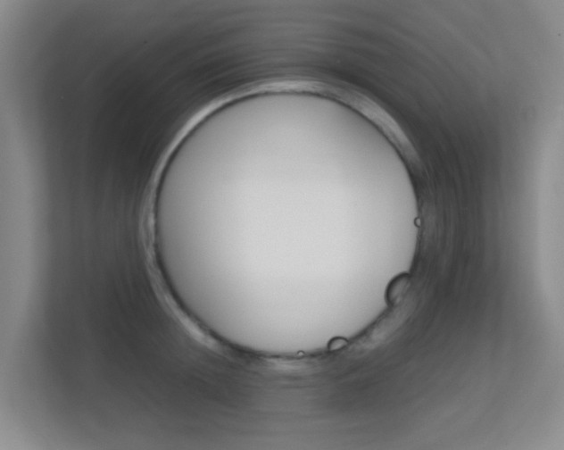 X0000113870852200909241005