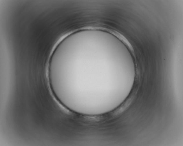 X0000113870855200909241005