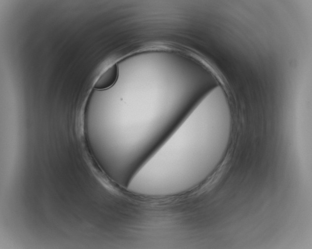 X0000113870858200909241005