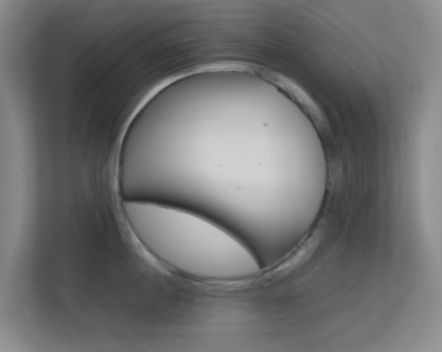 X0000113870860200909241005