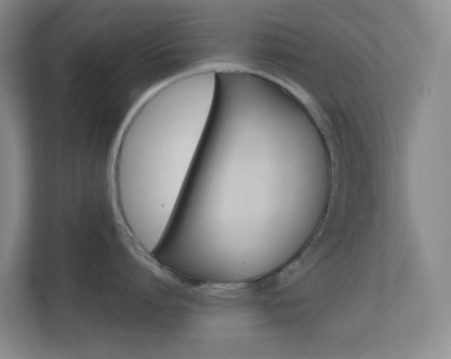 X0000113870864200909241005
