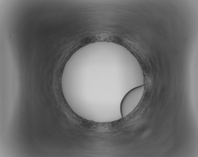 X0000113870865200909241004