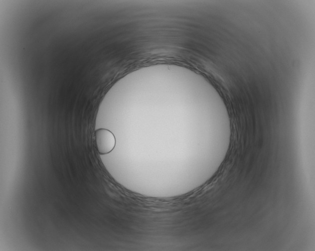 X0000113870868200909241004