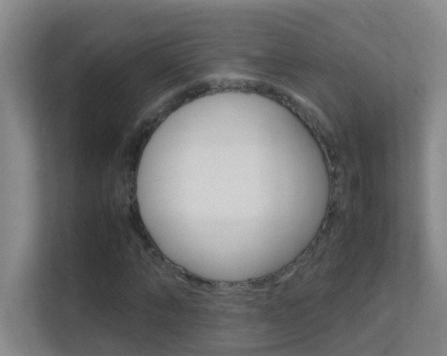 X0000113870870200909241004