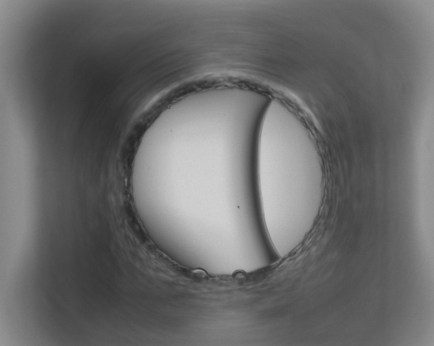 X0000113870871200909241004
