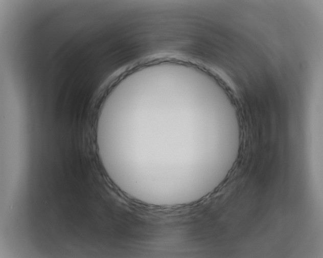 X0000113870872200909241004