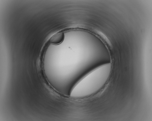 X0000113870876200909241004