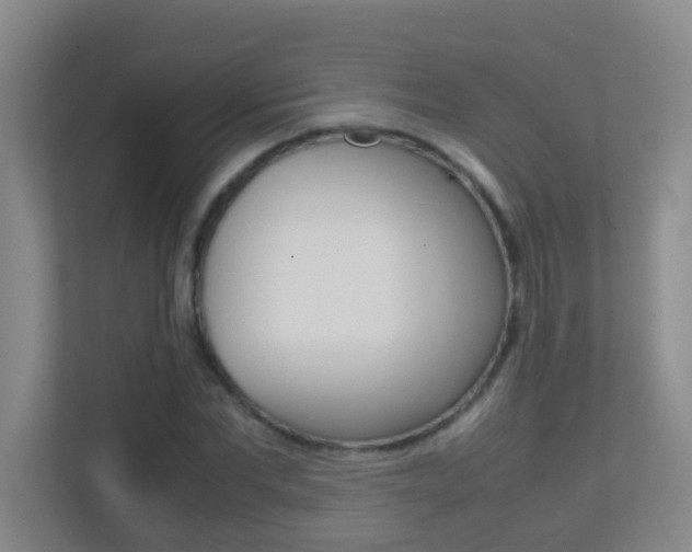 X0000113870877200909241004