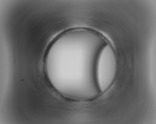 X0000113870879200909241004