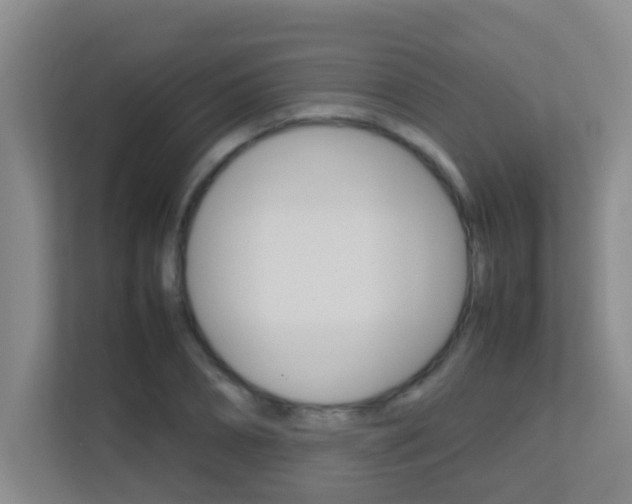 X0000113870882200909241004