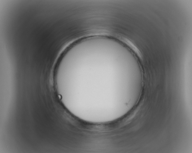 X0000113870883200909241004
