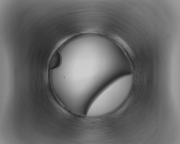 X0000113870884200909241004
