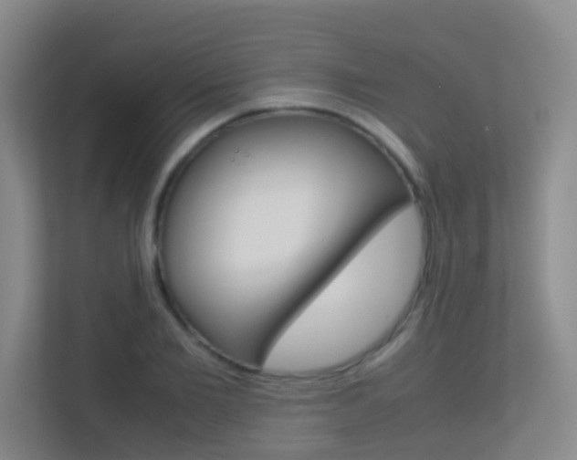X0000113870885200909241004