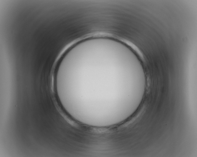 X0000113870886200909241004