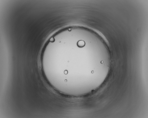 X0000113870887200909241004