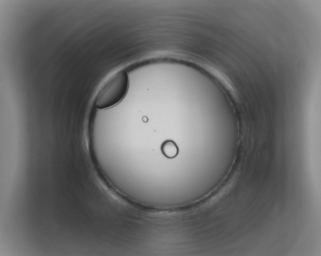 X0000113870888200909241004
