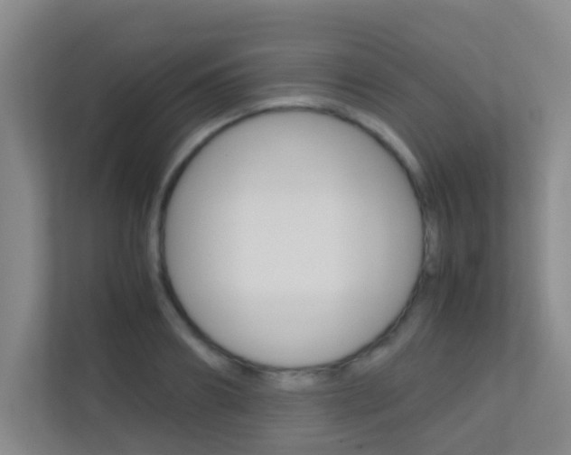 X0000113870890200909241004
