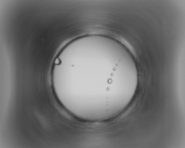 X0000113870891200909241004