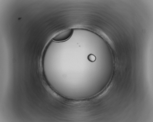 X0000113870892200909241004
