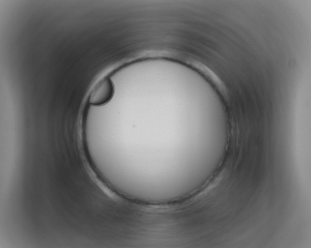 X0000113870894200909241004