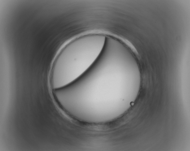X0000113870895200909241004