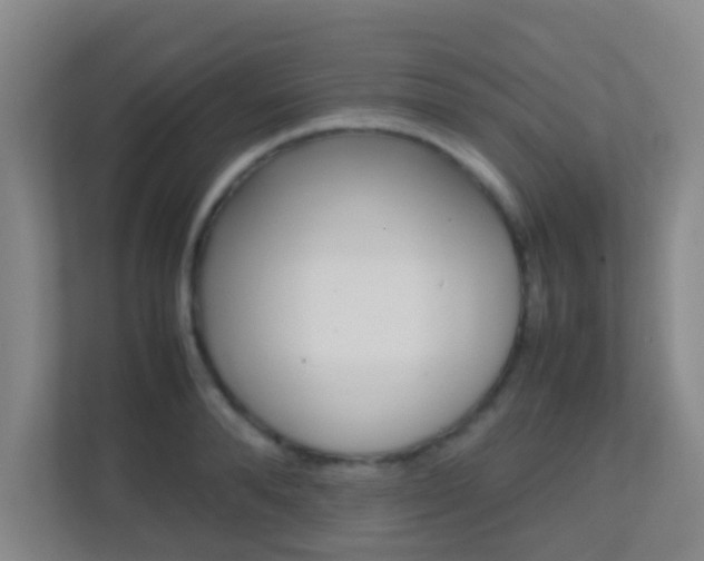 X0000113870896200909241004