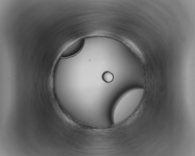 X0000113870900200909241004