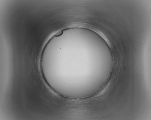 X0000113870901200909241004