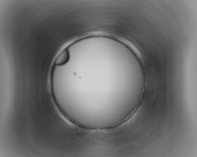 X0000113870902200909241004