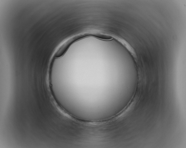 X0000113870904200909241004