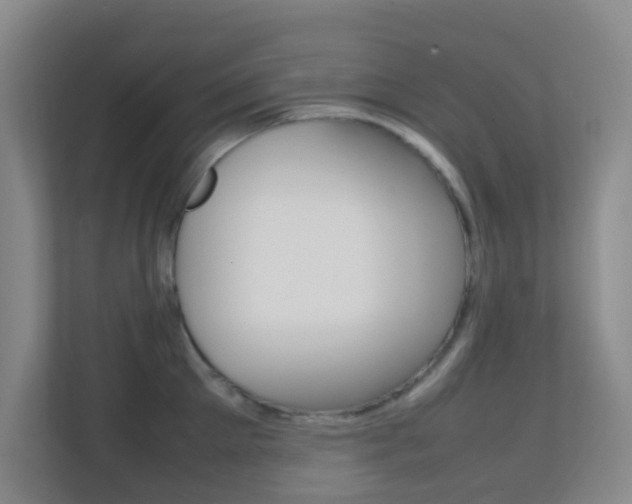 X0000113870905200909241004
