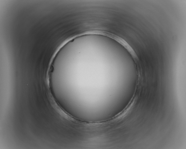 X0000113870908200909241004
