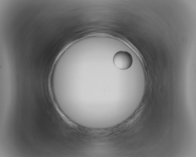 X0000113870909200909241004