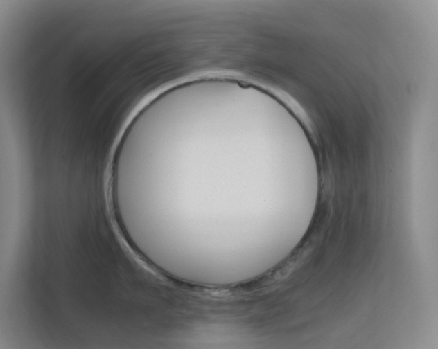 X0000113870911200909241004