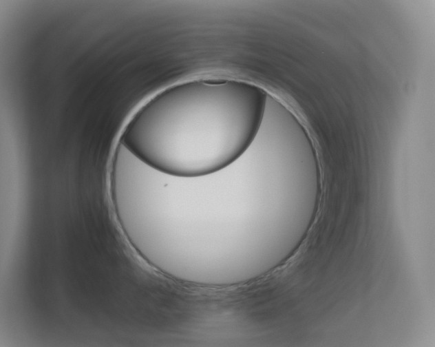 X0000113870912200909241004