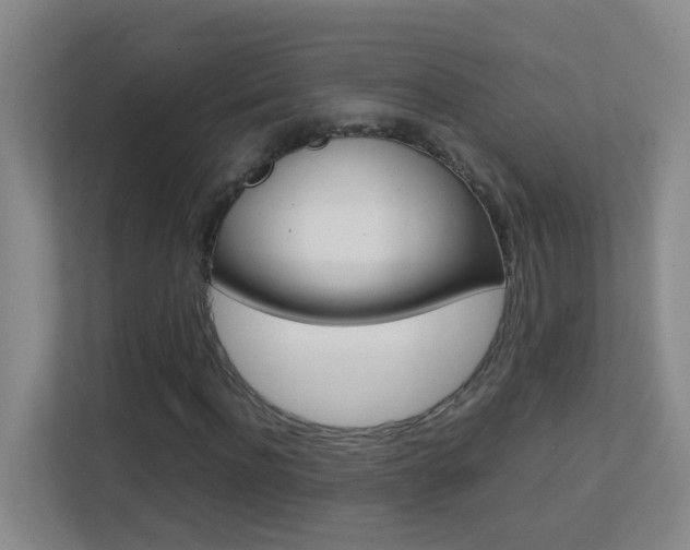 X0000113870916200909241003