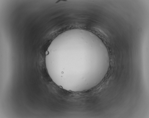 X0000113870917200909241003