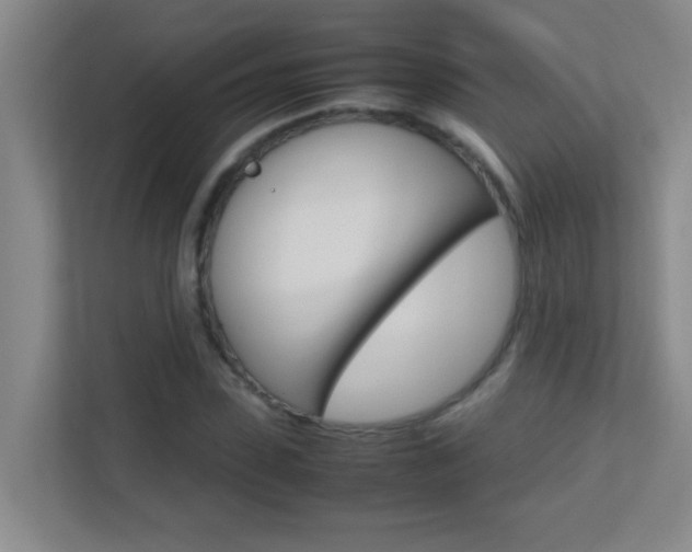 X0000113870923200909241003