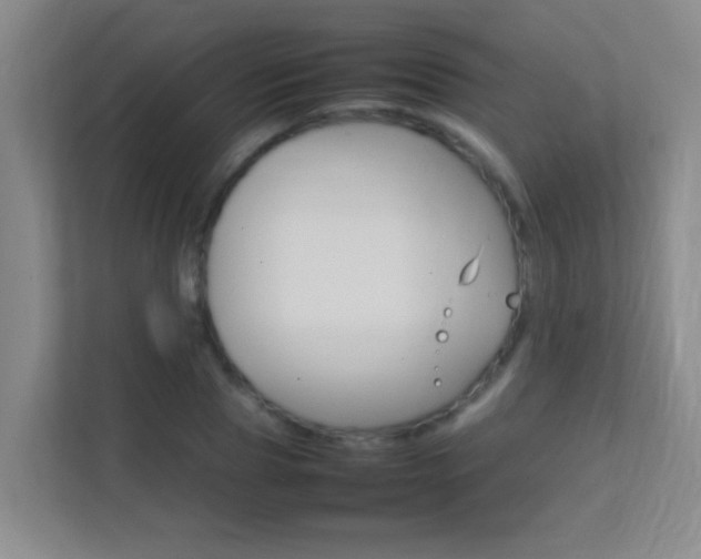 X0000113870929200909241003