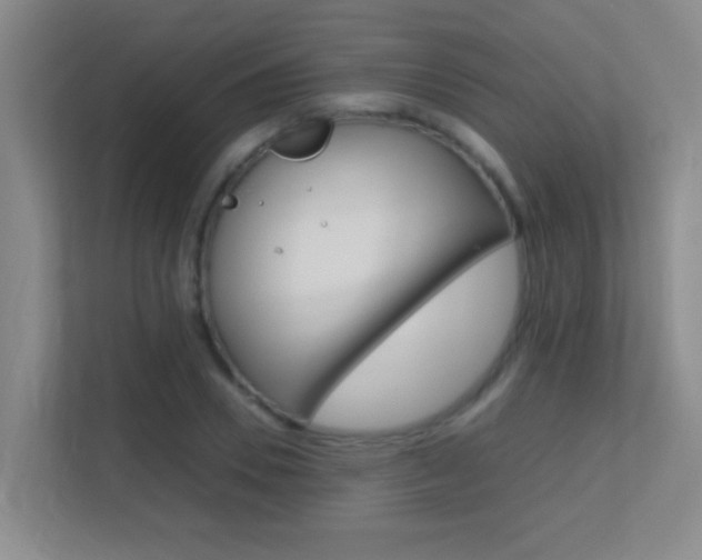 X0000113870930200909241003