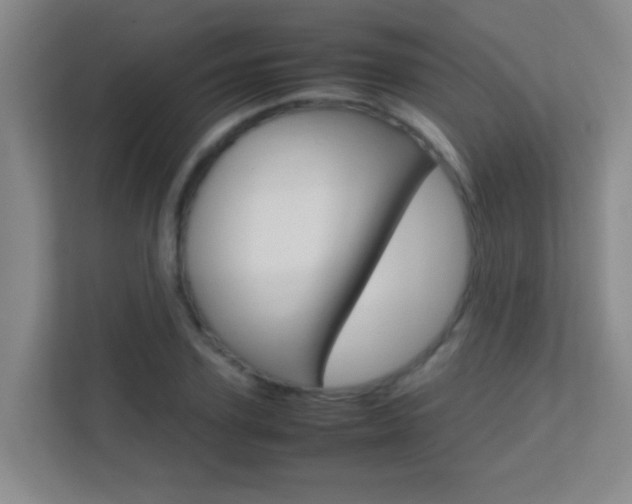 X0000113870931200909241003