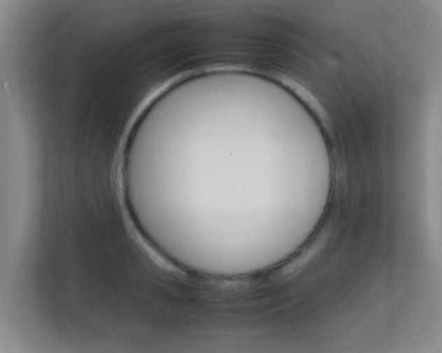 X0000113870941200909241003
