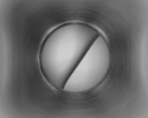 X0000113870943200909241003